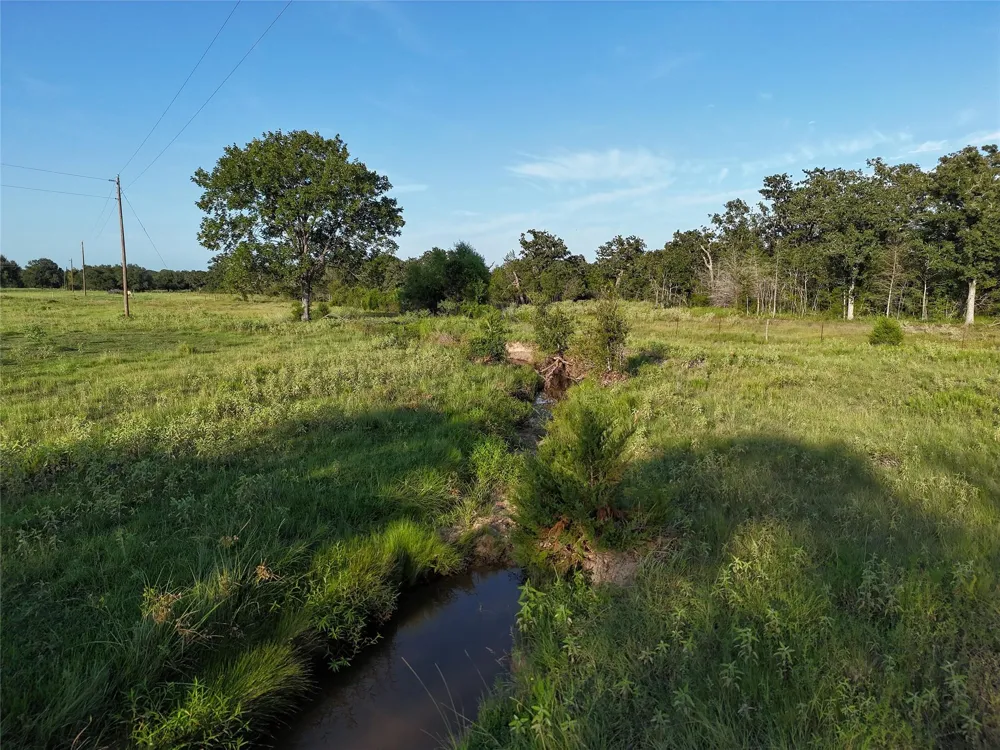 8600 Fm-1361 Somerville, TX 77879