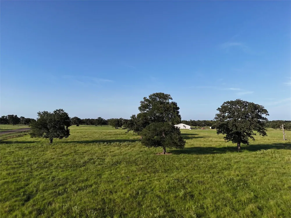 8600 Fm-1361 Somerville, TX 77879