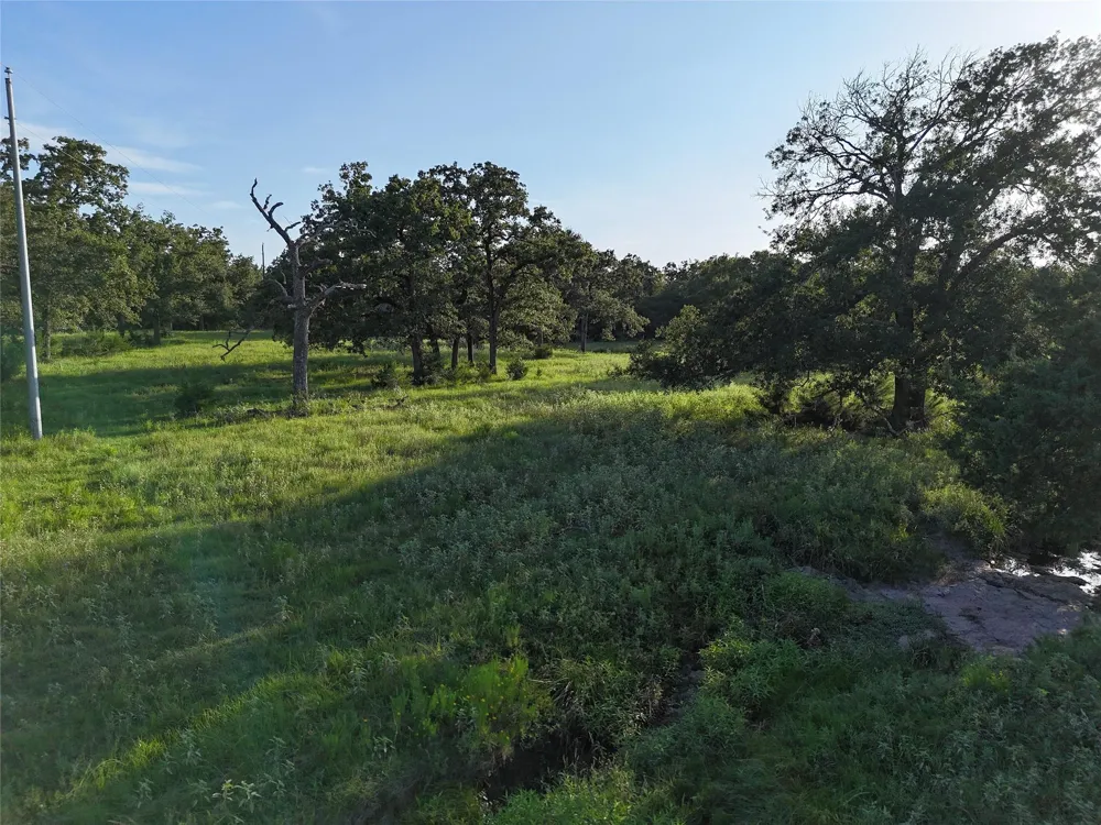8600 Fm-1361 Somerville, TX 77879