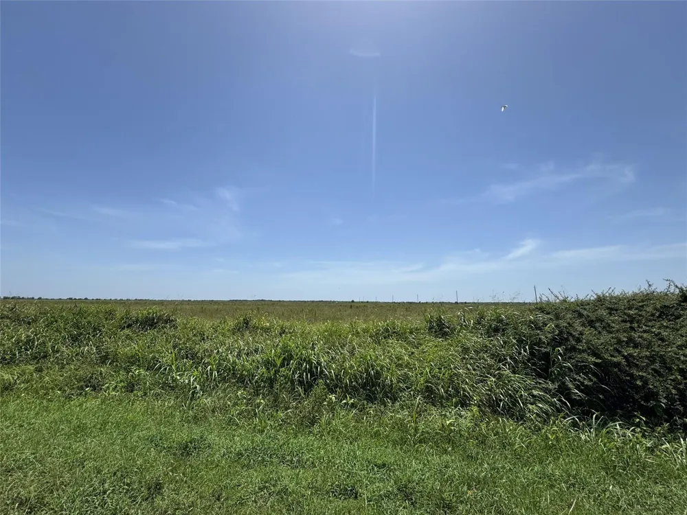 S Cr 267 Lot 4 Eagle Lake, TX 77434