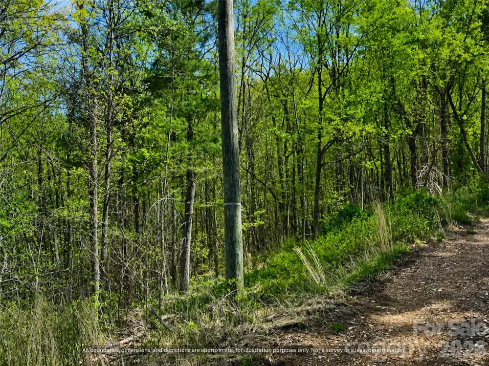 000-000 Big Rock Lane #Lots 8, 9 and 10 Lowgap, NC 27024