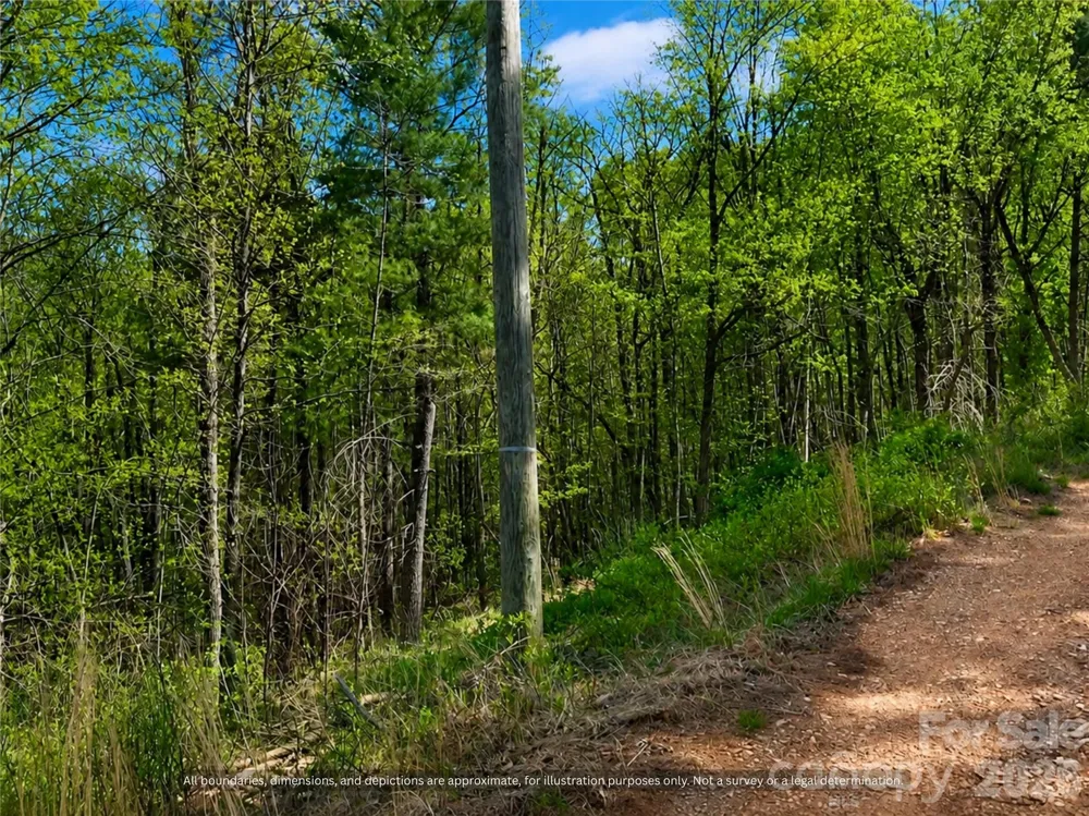 000-000 Big Rock Lane #Lots 8, 9 and 10 Lowgap, NC 27024