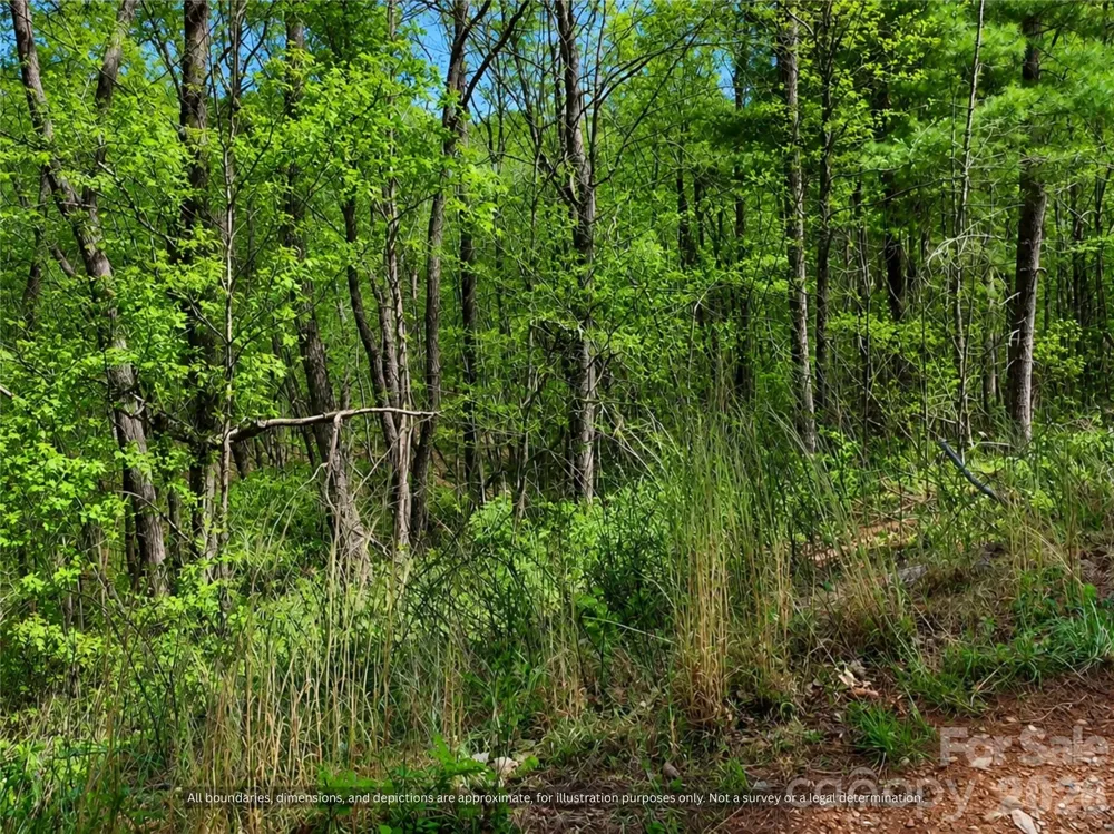 000-000 Big Rock Lane #Lots 8, 9 and 10 Lowgap, NC 27024