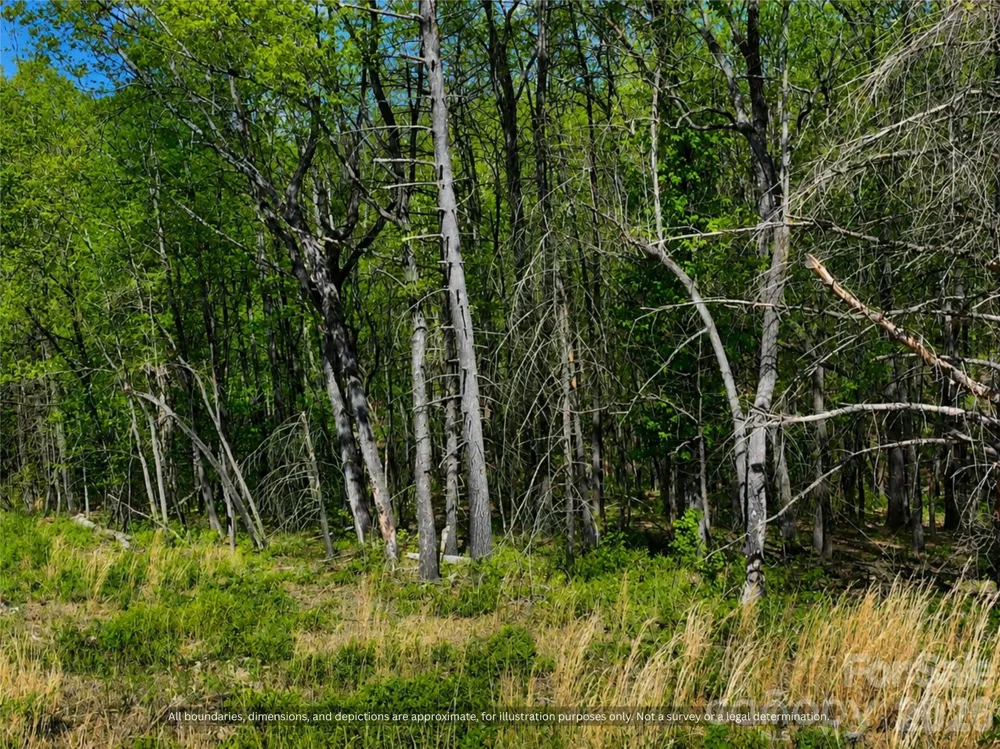 000-000 Big Rock Lane #Lots 8, 9 and 10 Lowgap, NC 27024