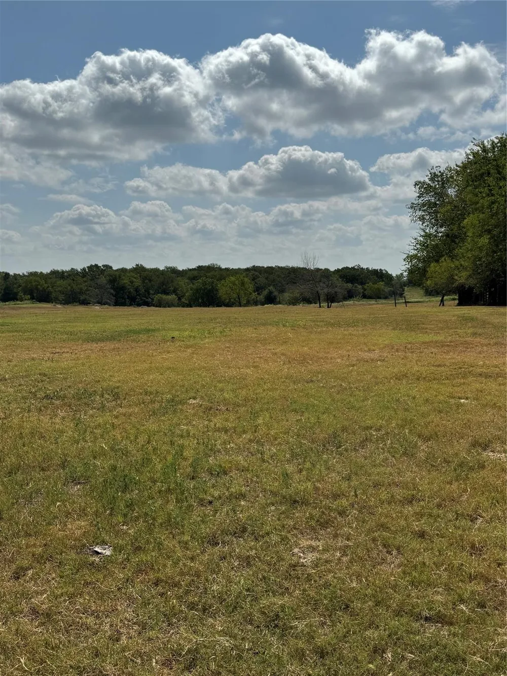 3 Fm 3060 Midway, TX 75852