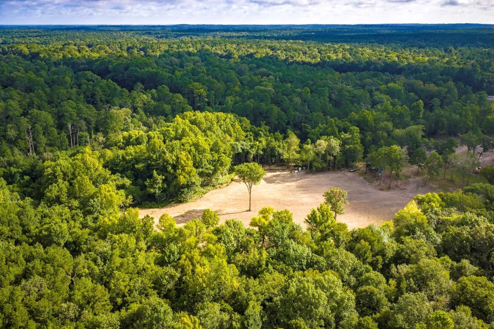 9349 Us-190 W Livingston, TX 77351