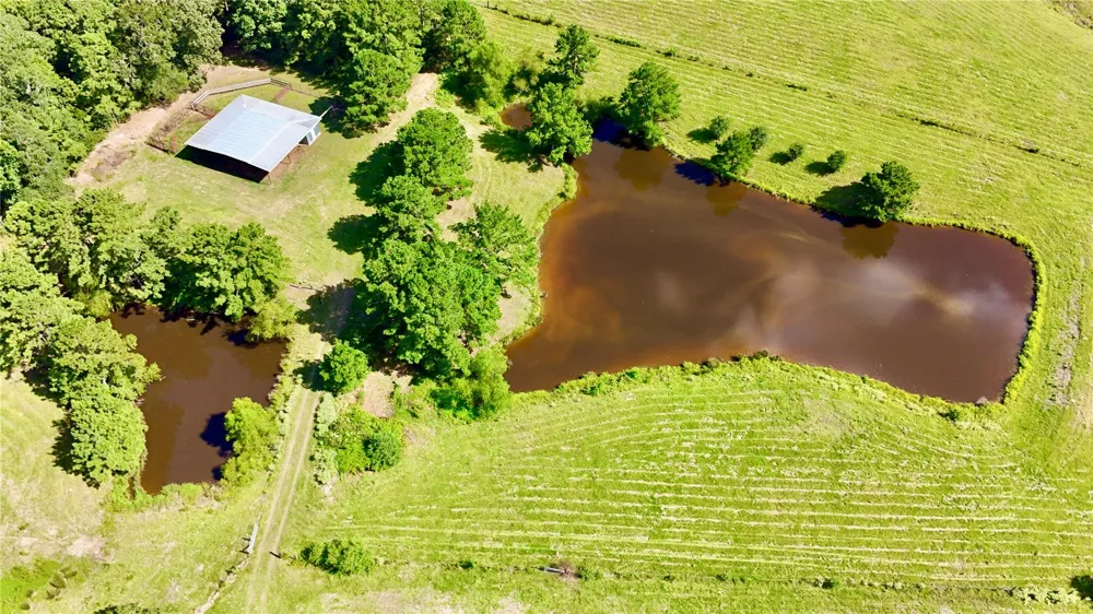 England Ln Coldspring, TX 77331