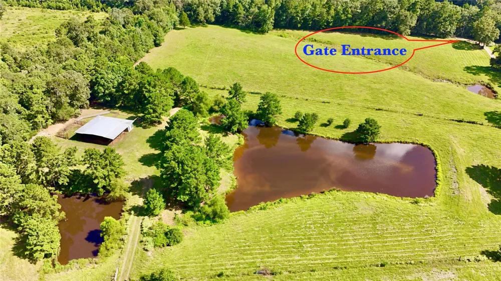 England Ln Coldspring, TX 77331