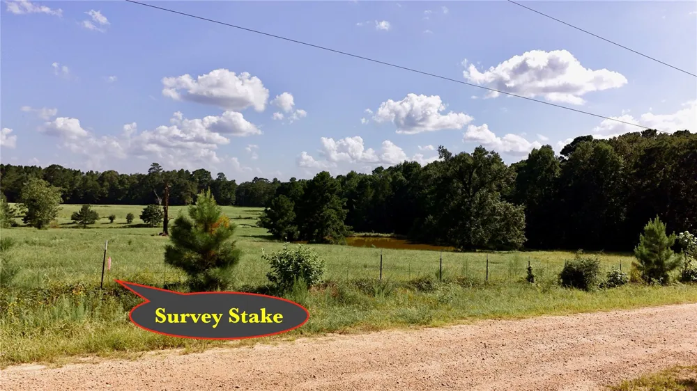 England Ln Coldspring, TX 77331