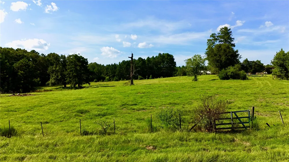 England Ln Coldspring, TX 77331