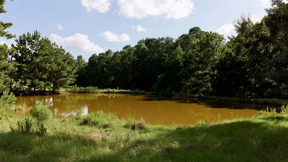 England Ln Coldspring, TX 77331