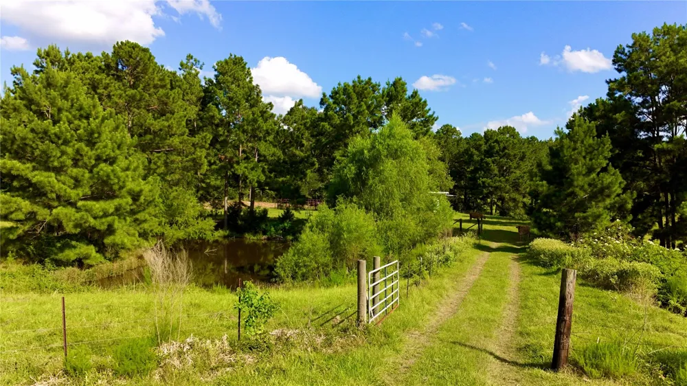 England Ln Coldspring, TX 77331
