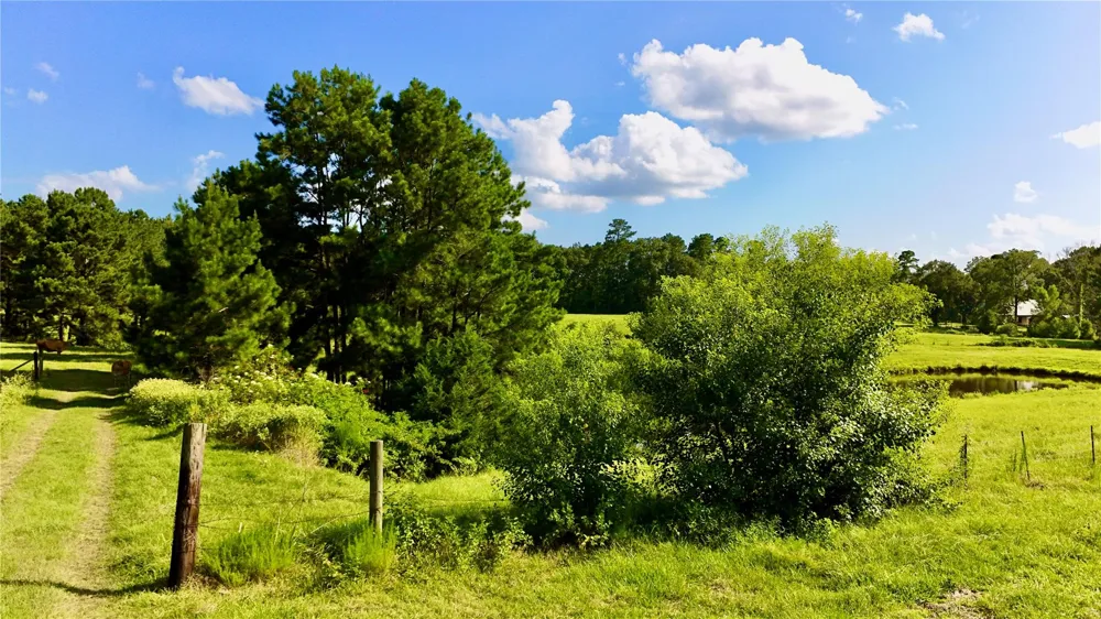 England Ln Coldspring, TX 77331