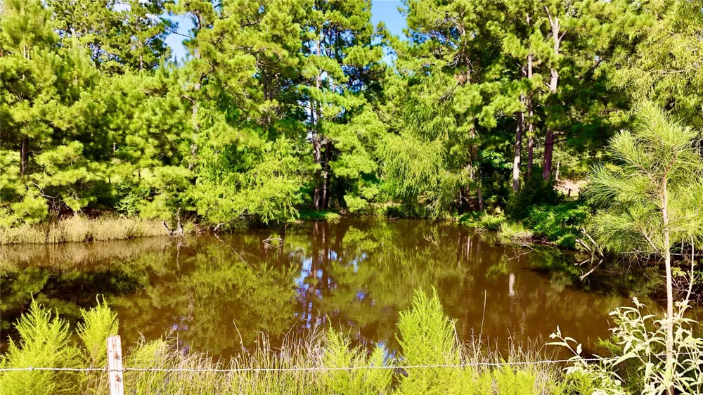 England Ln Coldspring, TX 77331