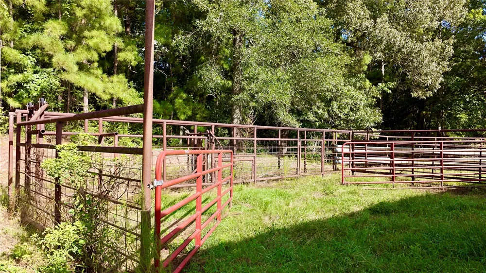 England Ln Coldspring, TX 77331