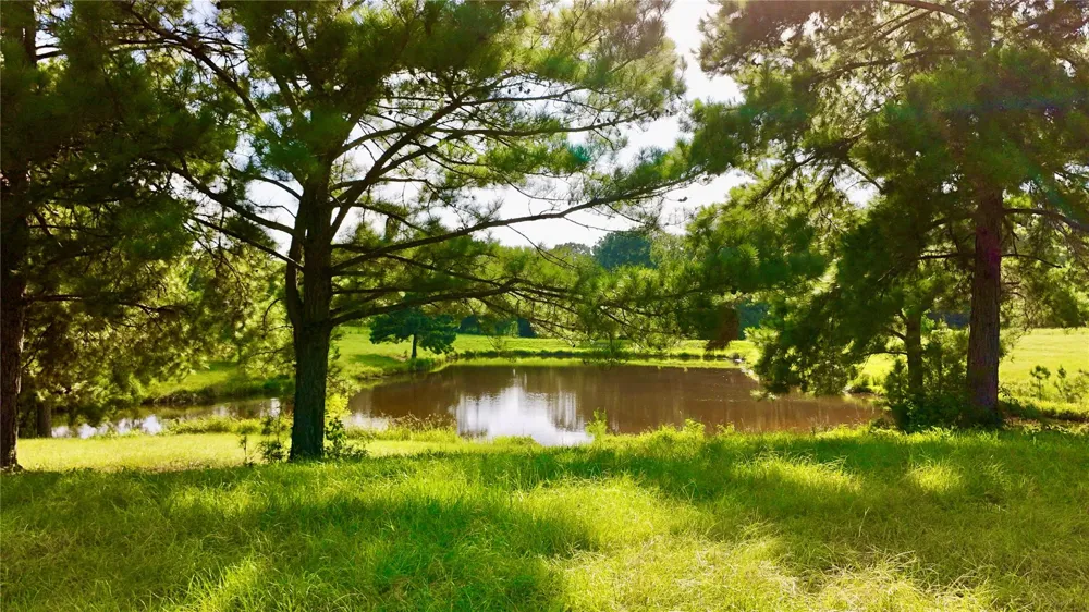 England Ln Coldspring, TX 77331