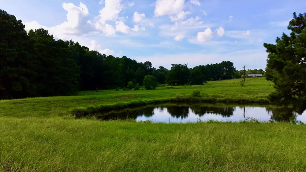 England Ln Coldspring, TX 77331