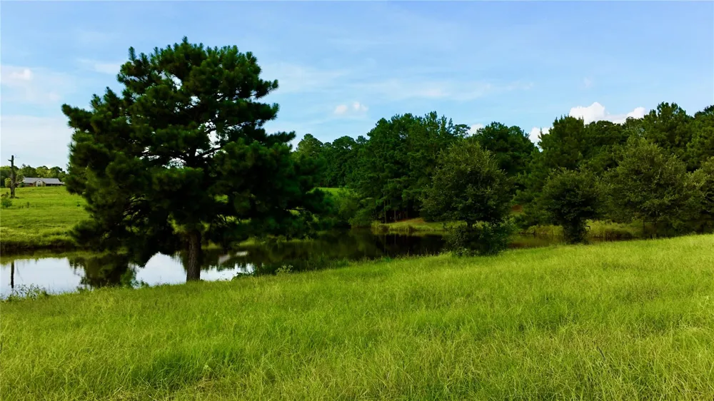 England Ln Coldspring, TX 77331