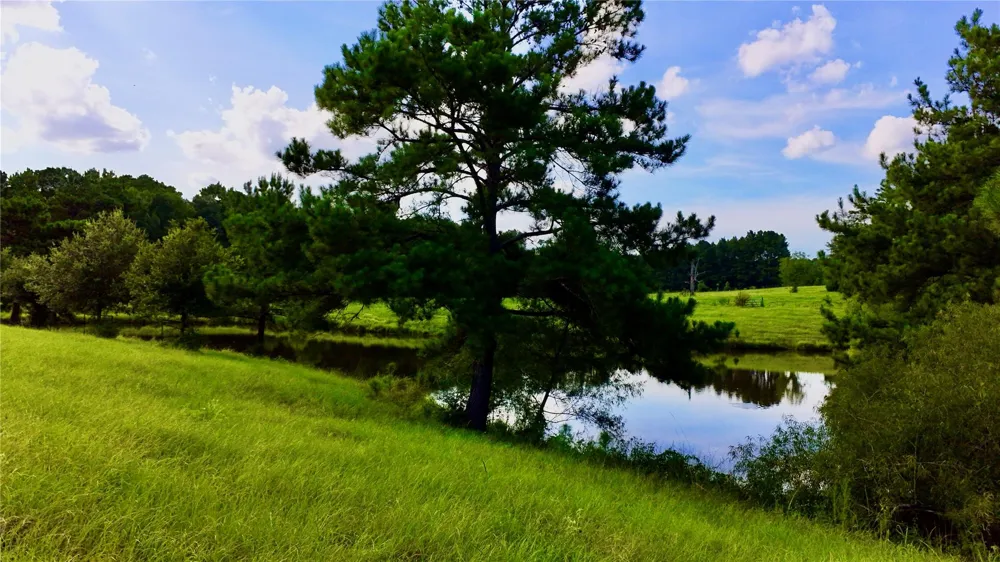 England Ln Coldspring, TX 77331