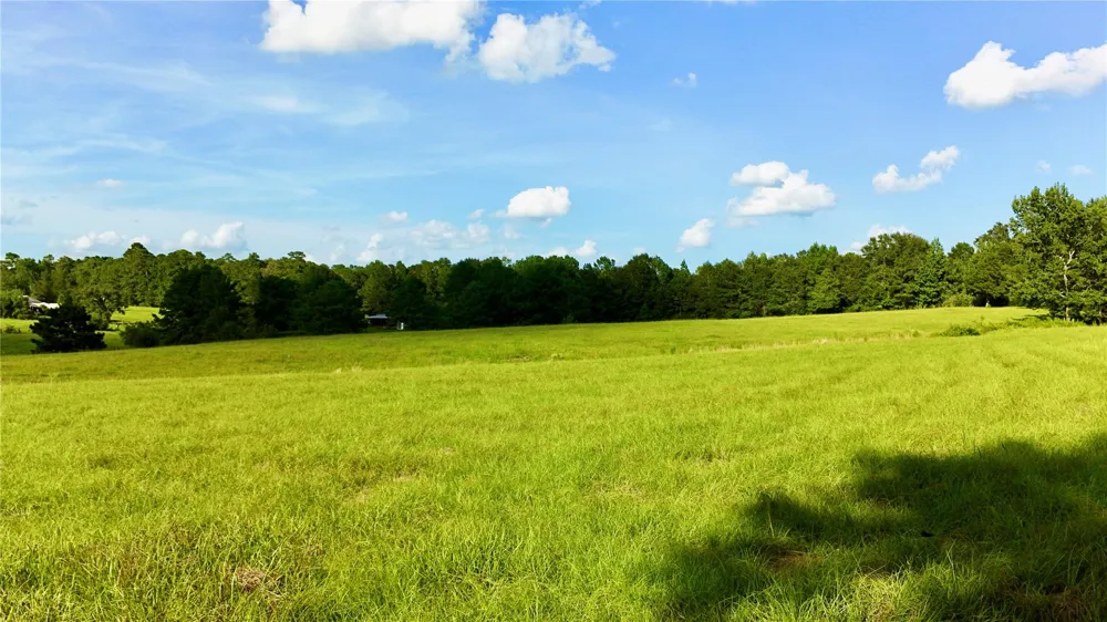 England Ln Coldspring, TX 77331