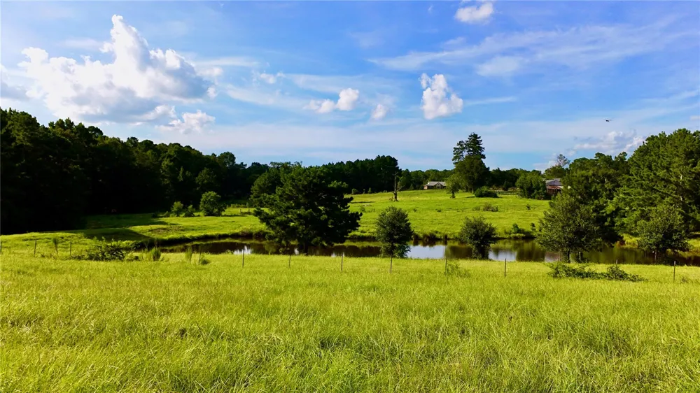 England Ln Coldspring, TX 77331