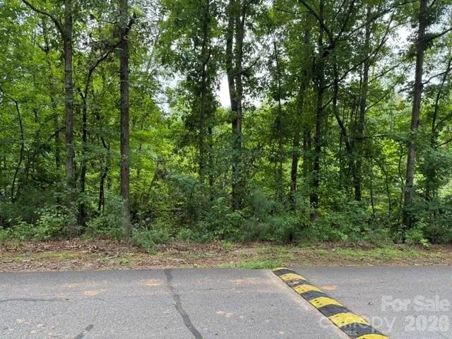 00 Chisholm Trail Rutherfordton, NC 28139