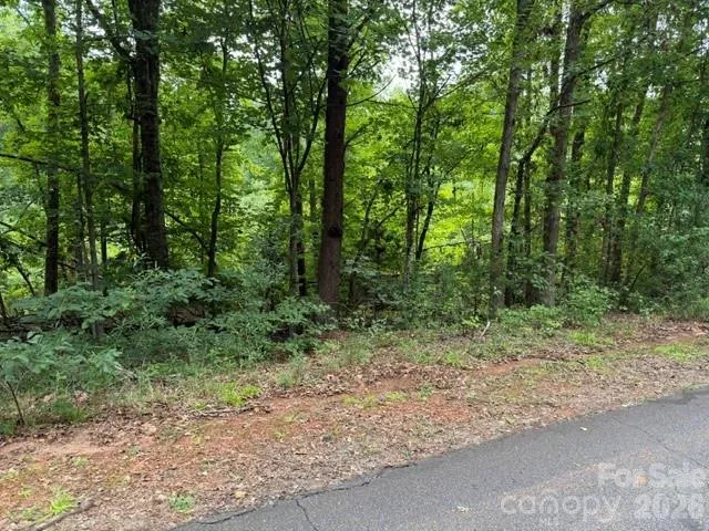 00 Chisholm Trail Rutherfordton, NC 28139