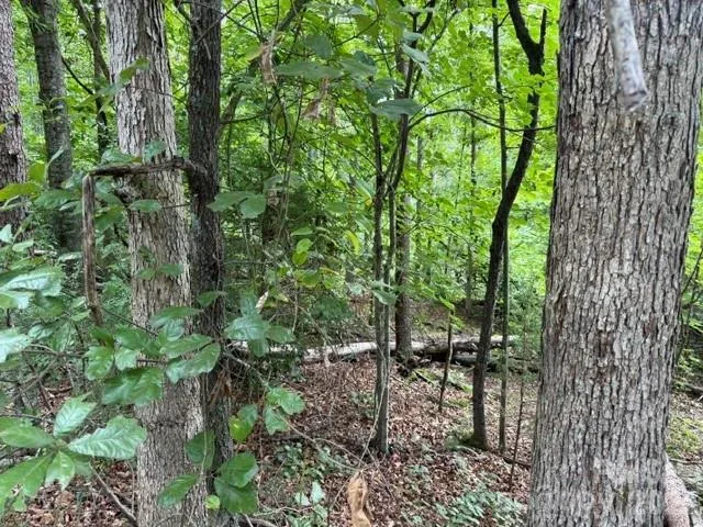 00 Chisholm Trail Rutherfordton, NC 28139