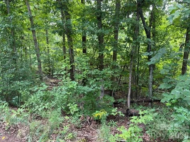 00 Chisholm Trail Rutherfordton, NC 28139