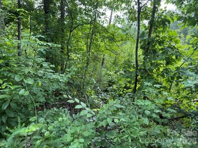 00 Chisholm Trail Rutherfordton, NC 28139