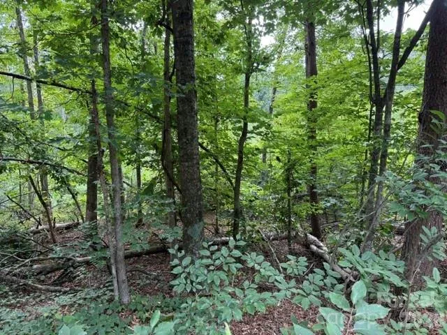00 Chisholm Trail Rutherfordton, NC 28139