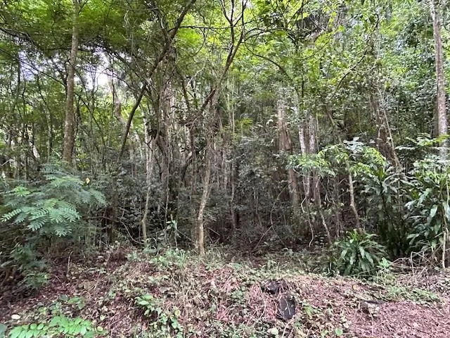 Bo. Candelaria PR 647 CAMPO NUEVO -AZUCENA ST. ##1 Vega Alta, PR 00692