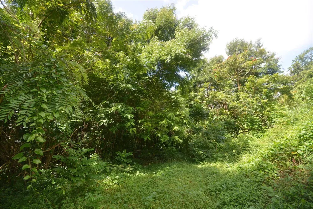 Bo. Marzan PR-820 Toa Alta, PR 00953