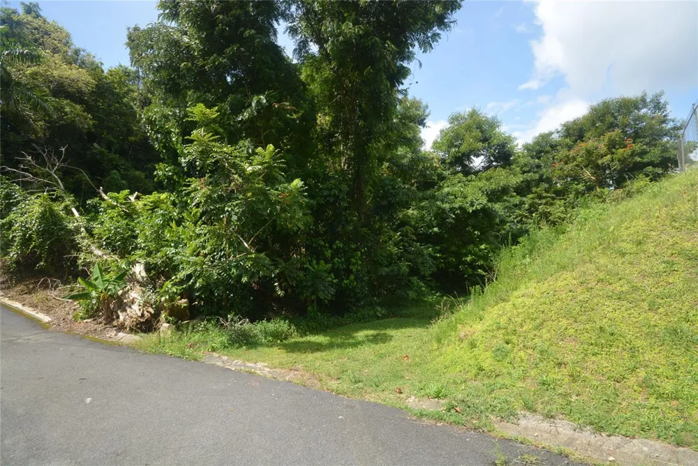 Bo. Marzan PR-820 Toa Alta, PR 00953
