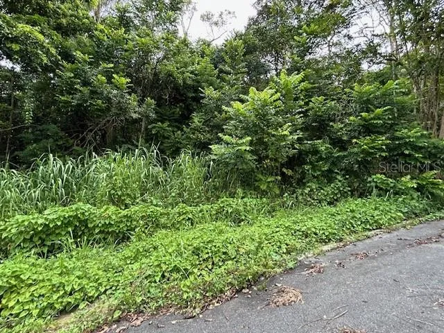 CAMPO NUEVO-AZUCENA 2 Vega Alta, PR 00692
