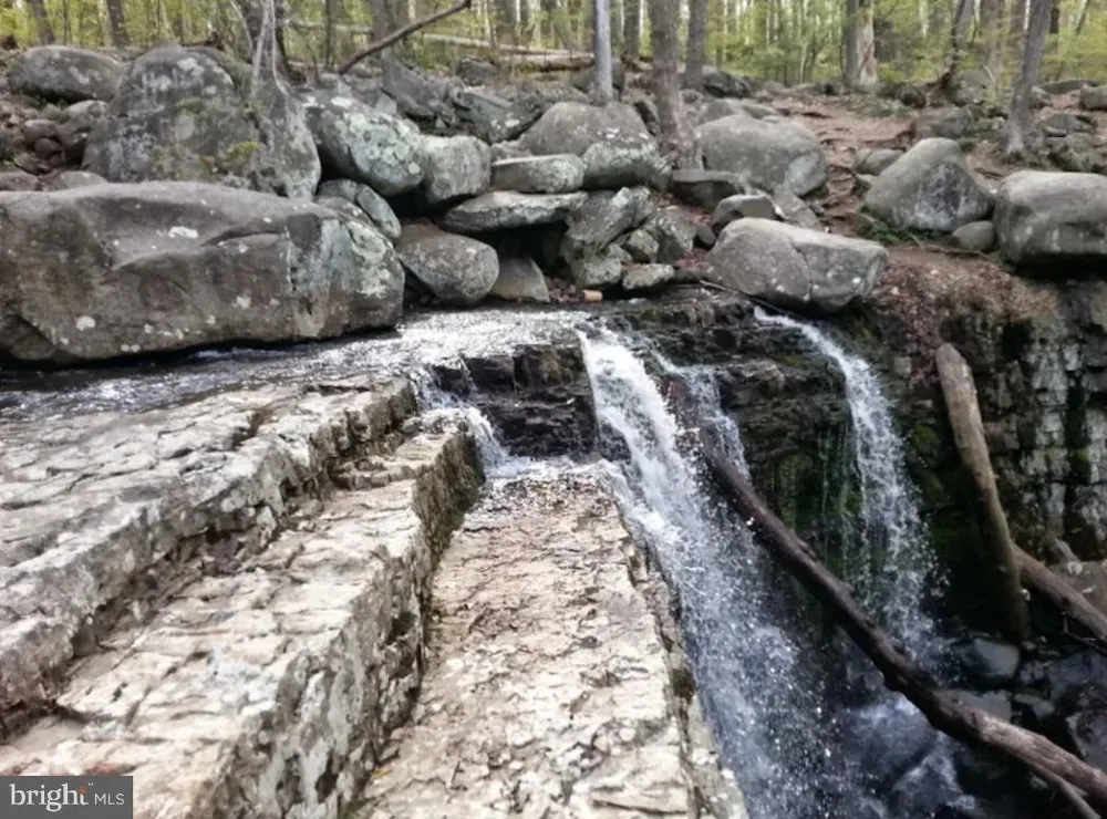 1863 RINGING ROCKS ROAD Upper Black Eddy, PA 18972