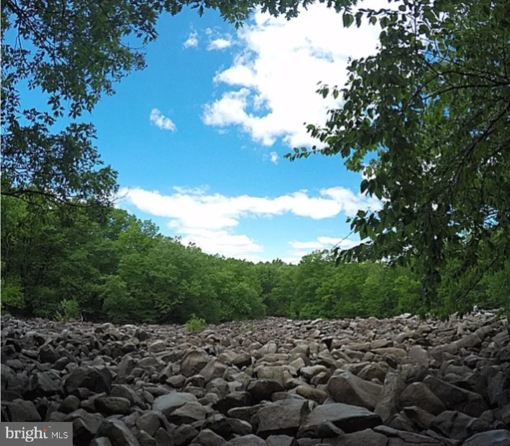 1863 RINGING ROCKS ROAD Upper Black Eddy, PA 18972