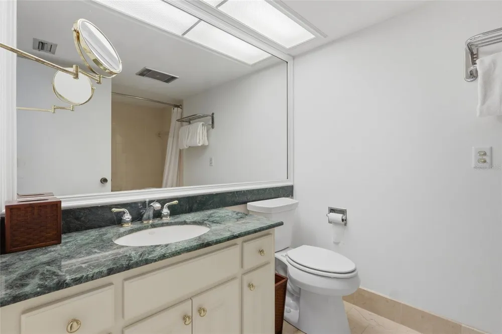 29130 BAY HOLLOW DRIVE #3314 Wesley Chapel, FL 33543