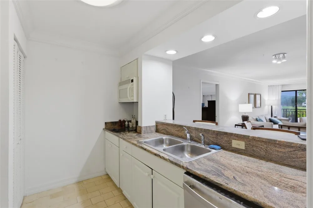 29130 BAY HOLLOW DRIVE #3314 Wesley Chapel, FL 33543