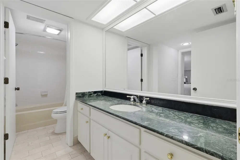 29130 BAY HOLLOW DRIVE #3314 Wesley Chapel, FL 33543
