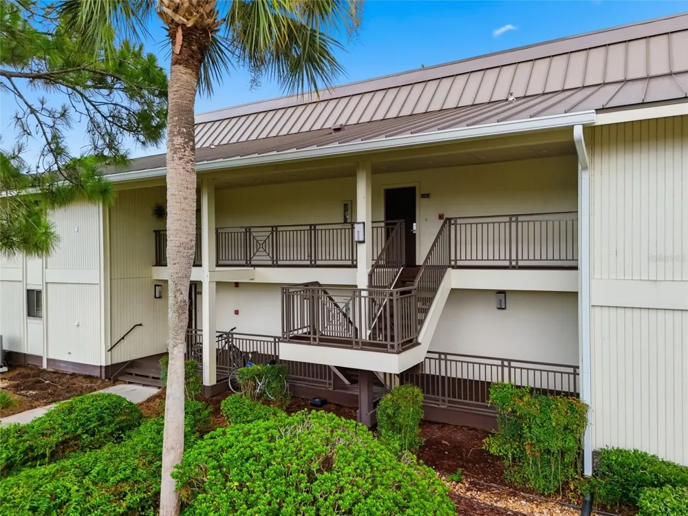 29130 BAY HOLLOW DRIVE #3314 Wesley Chapel, FL 33543