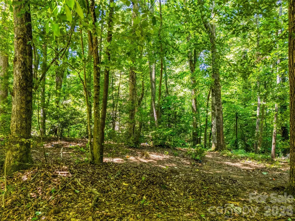 70 Promised Ridge Drive Hendersonville, NC 28791