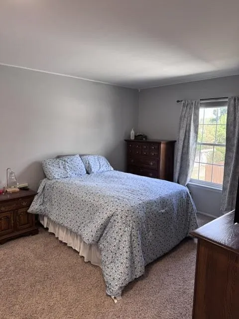 196 Princeton Drive South Lyon, MI 48178