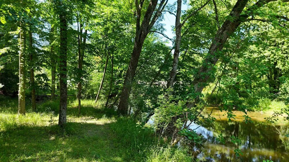 429 S Geneva Road Greendale Township, MI 48883