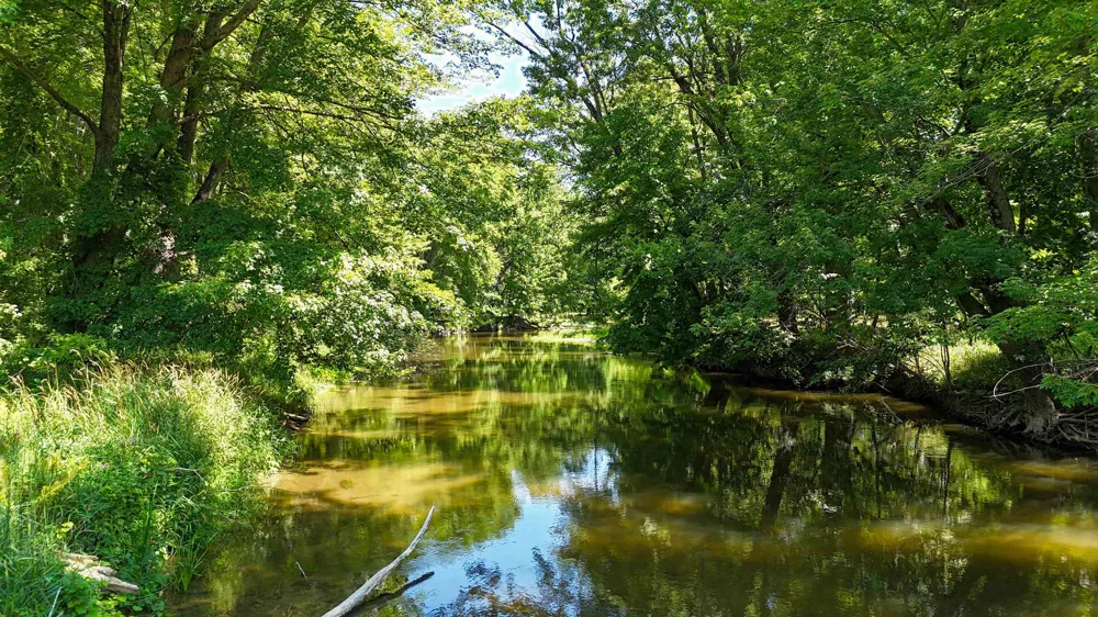 429 S Geneva Road Greendale Township, MI 48883