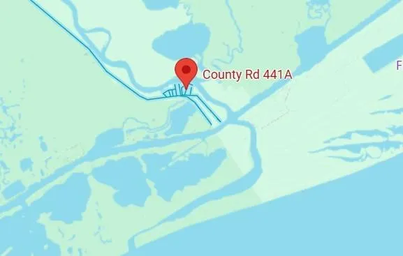 1546 Upton Lane Brazoria, TX 77422
