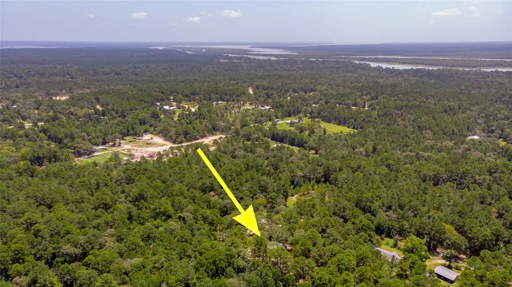 250 Red Bird Lane Trinity, TX 75862