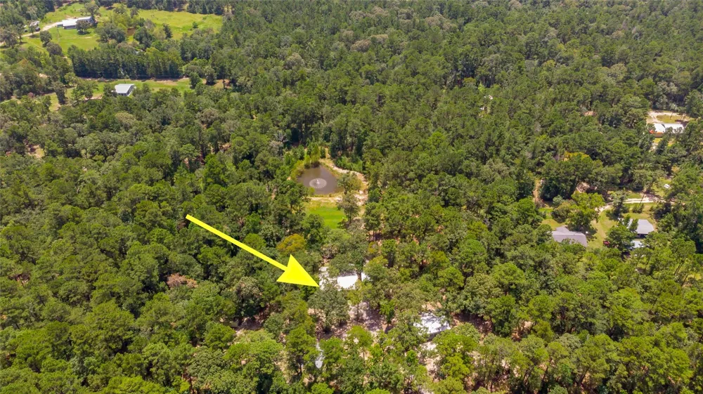 250 Red Bird Lane Trinity, TX 75862