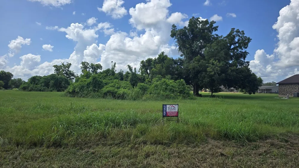 1549 Quarter Horse Trail Angleton, TX 77515