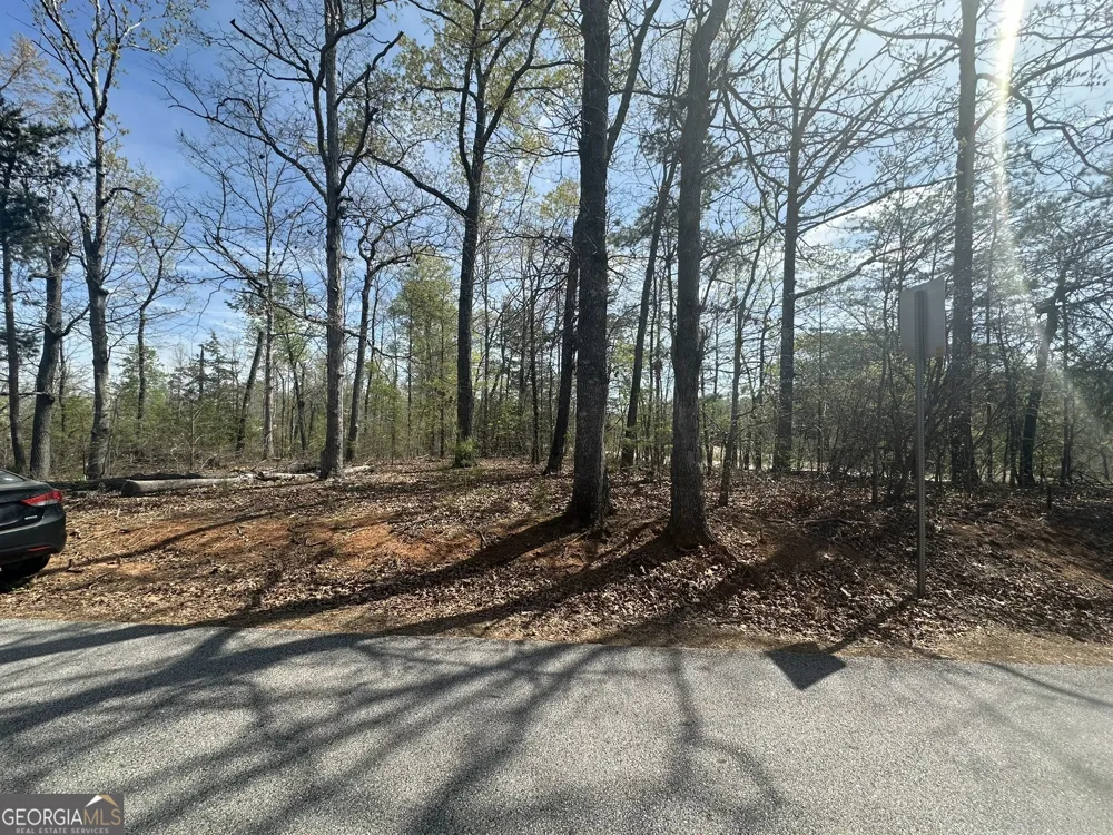 1035 Jenkins Ferry RD Martin, GA 30557